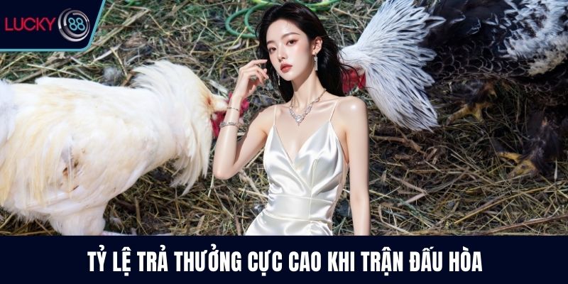 Tỷ lệ trả thưởng cực cao khi trận đấu hòa